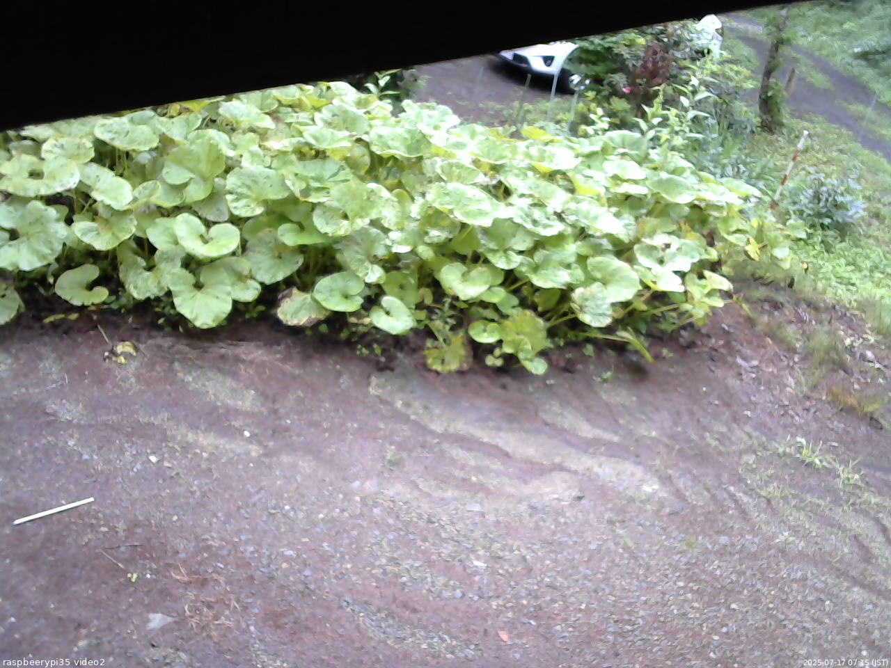 長野県菅平高原 ゆたか山荘 駐車場 2025/07/17 07:15