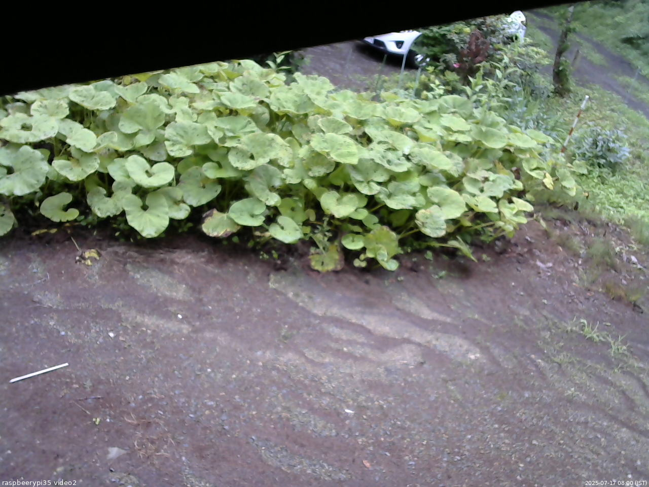 長野県菅平高原 ゆたか山荘 駐車場 2025/07/17 08:00
