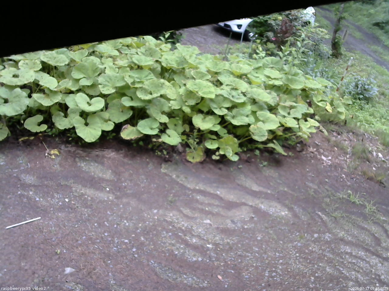 長野県菅平高原 ゆたか山荘 駐車場 2025/07/17 09:45