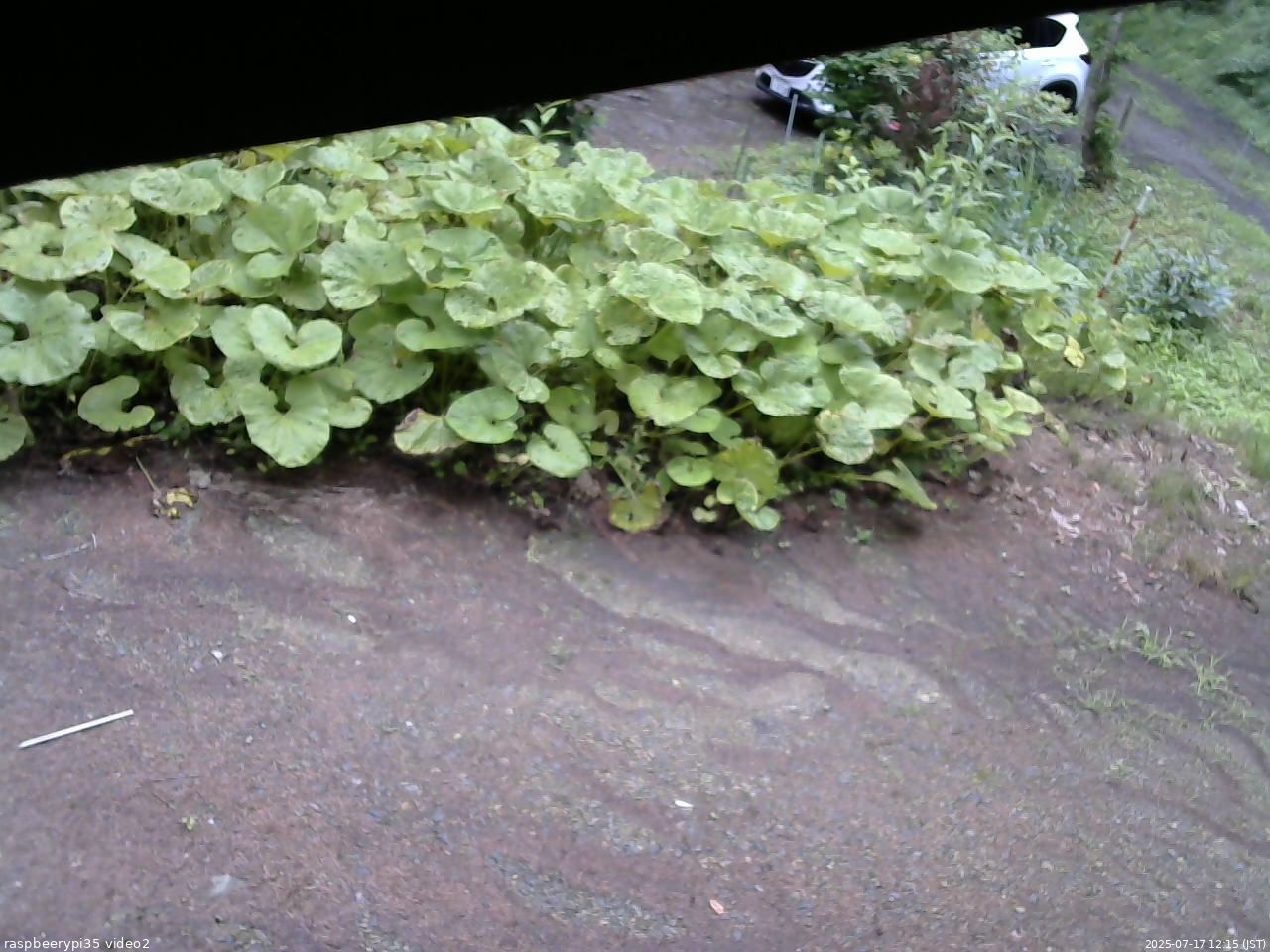 長野県菅平高原 ゆたか山荘 駐車場 2025/07/17 12:15