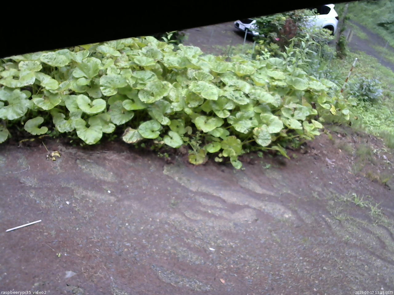 長野県菅平高原 ゆたか山荘 駐車場 2025/07/17 13:15
