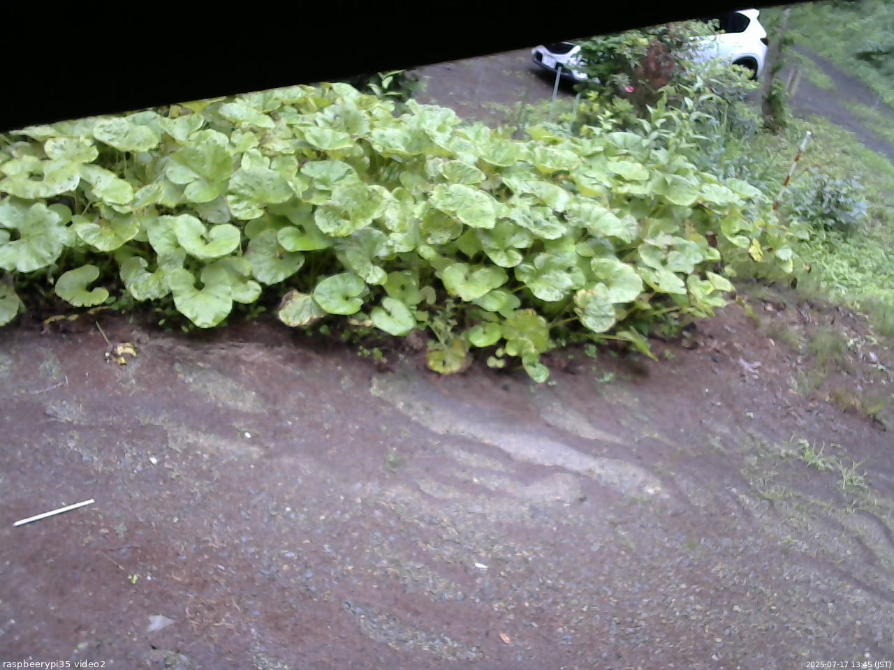 長野県菅平高原 ゆたか山荘 駐車場 2025/07/17 13:45