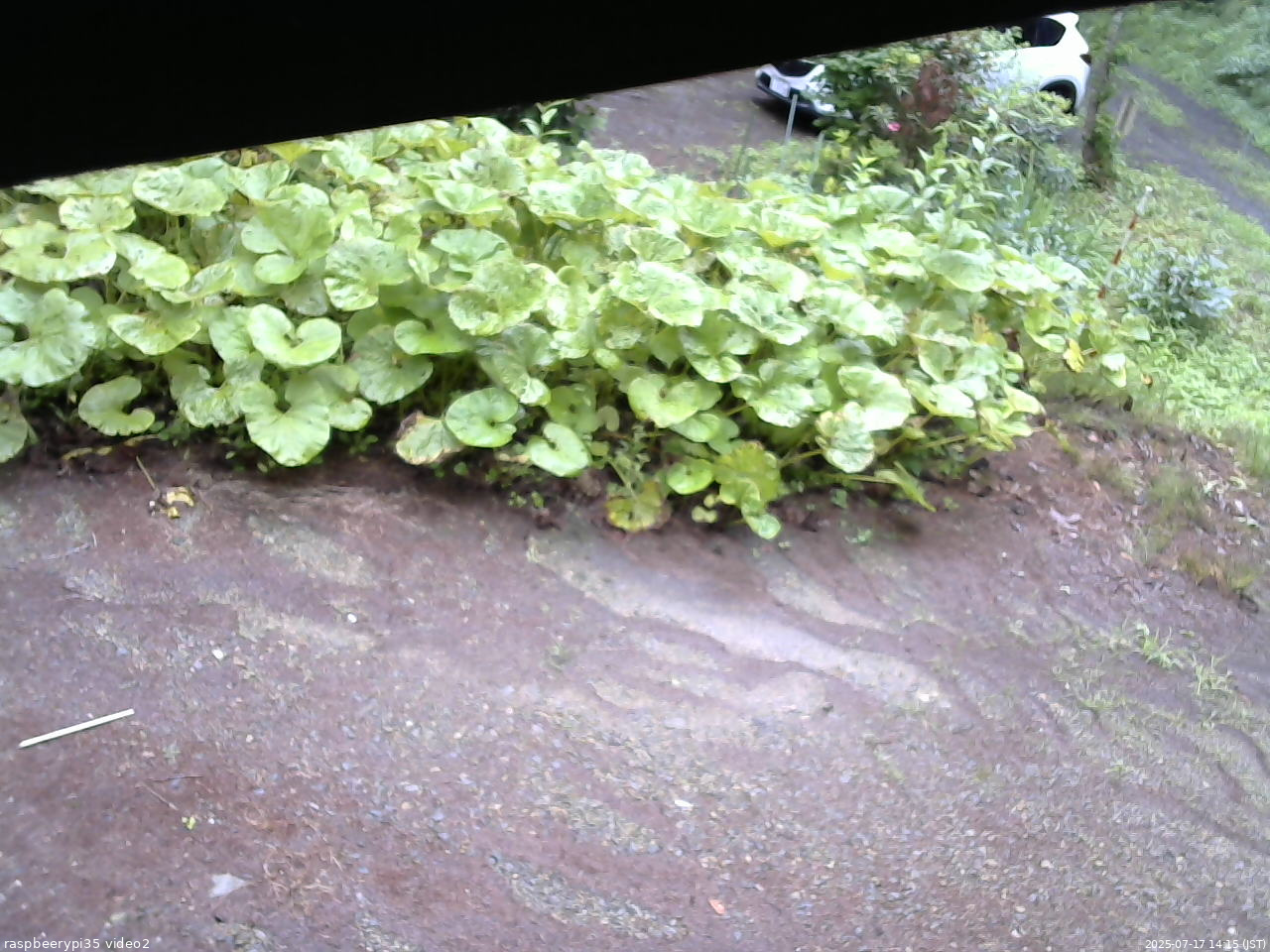長野県菅平高原 ゆたか山荘 駐車場 2025/07/17 14:15