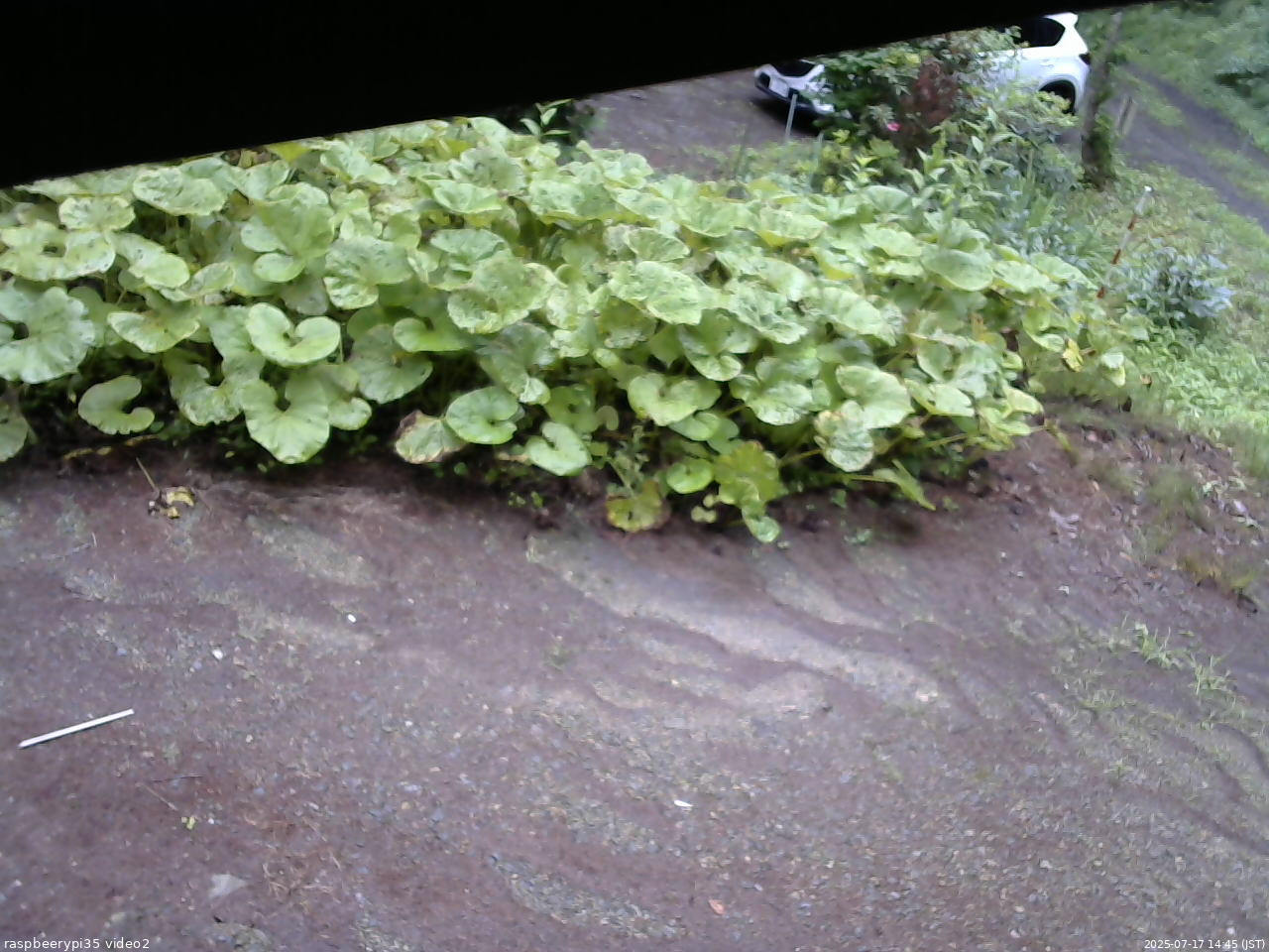 長野県菅平高原 ゆたか山荘 駐車場 2025/07/17 14:45