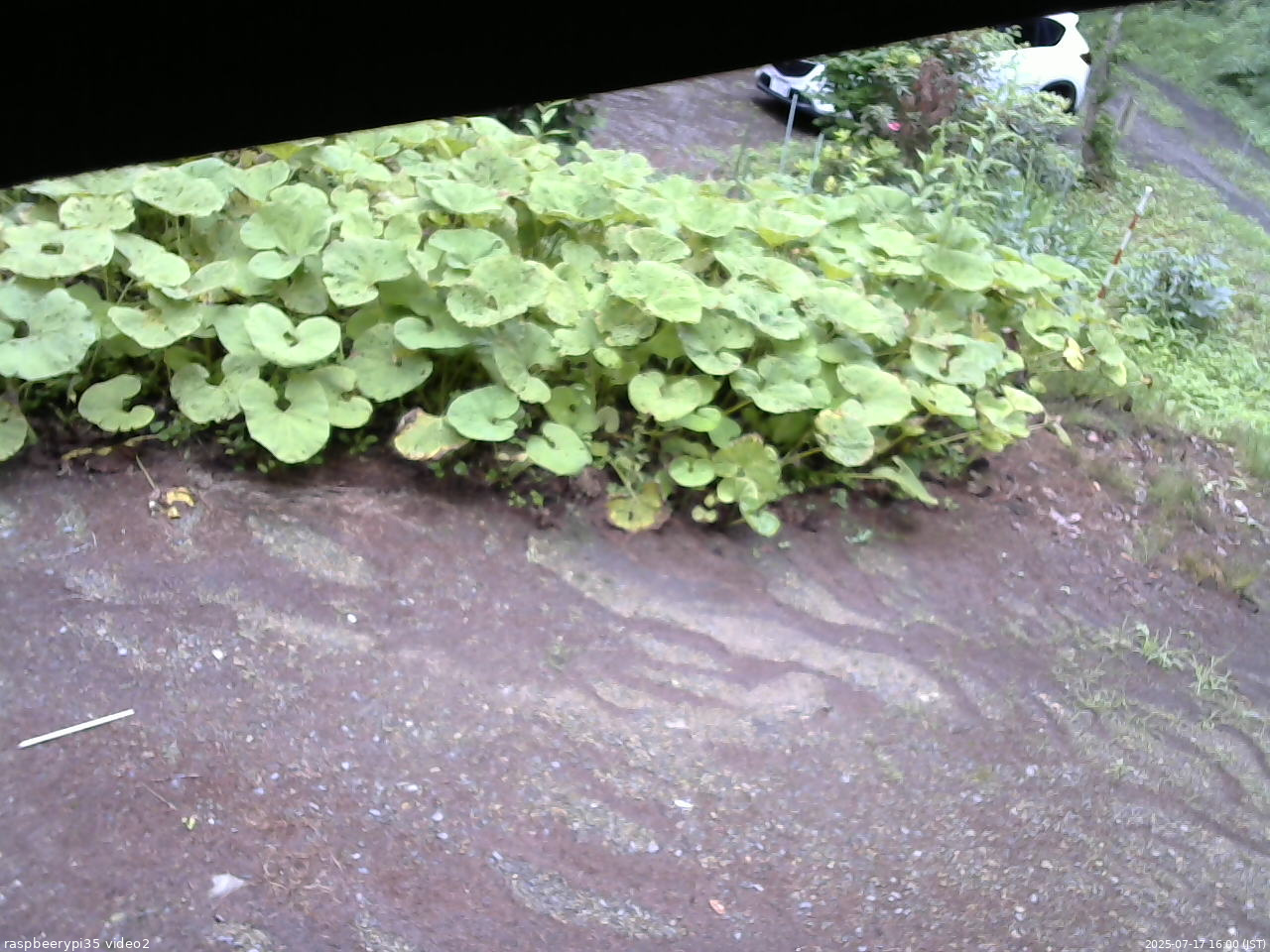 長野県菅平高原 ゆたか山荘 駐車場 2025/07/17 16:00