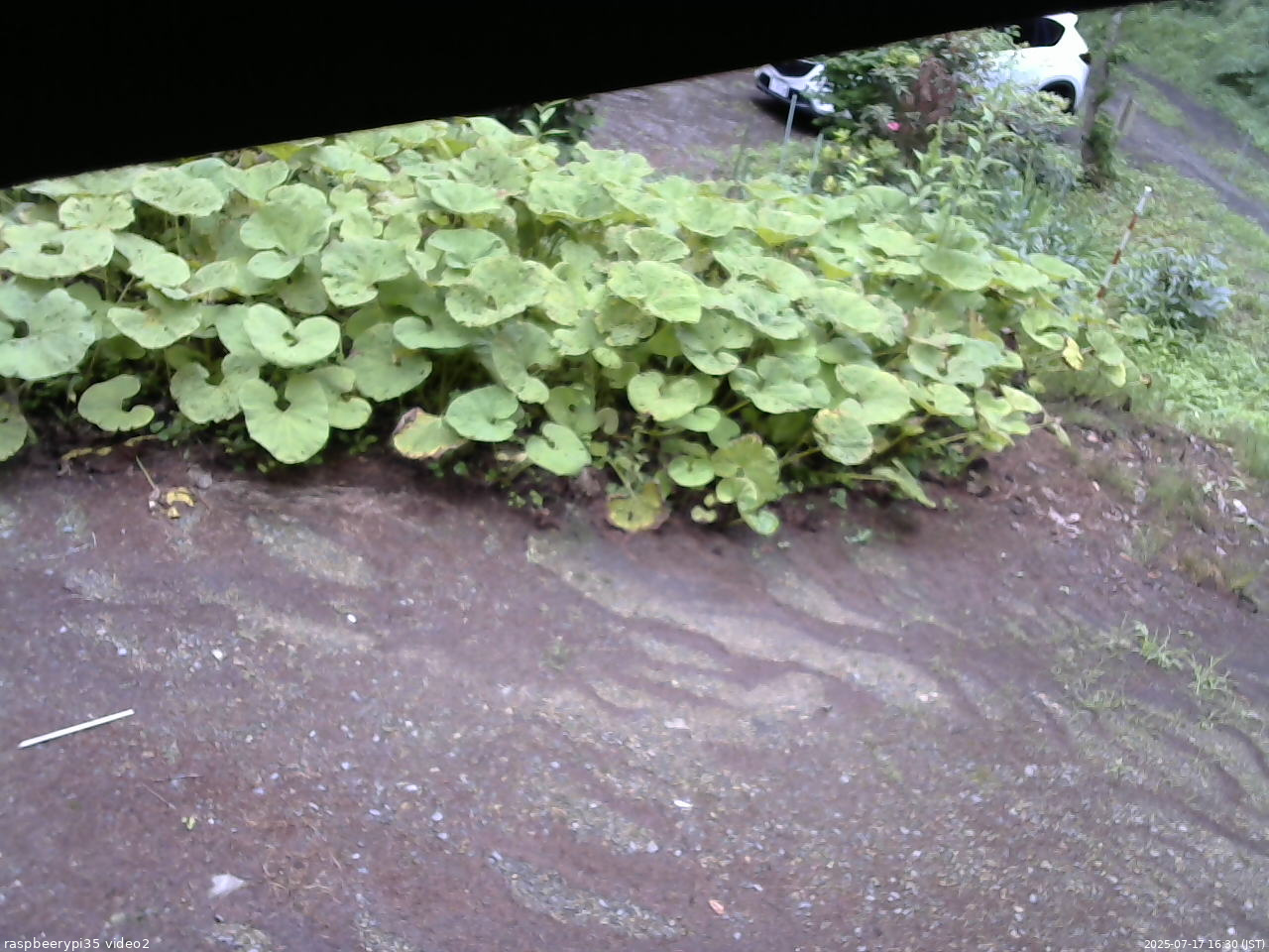 長野県菅平高原 ゆたか山荘 駐車場 2025/07/17 16:30