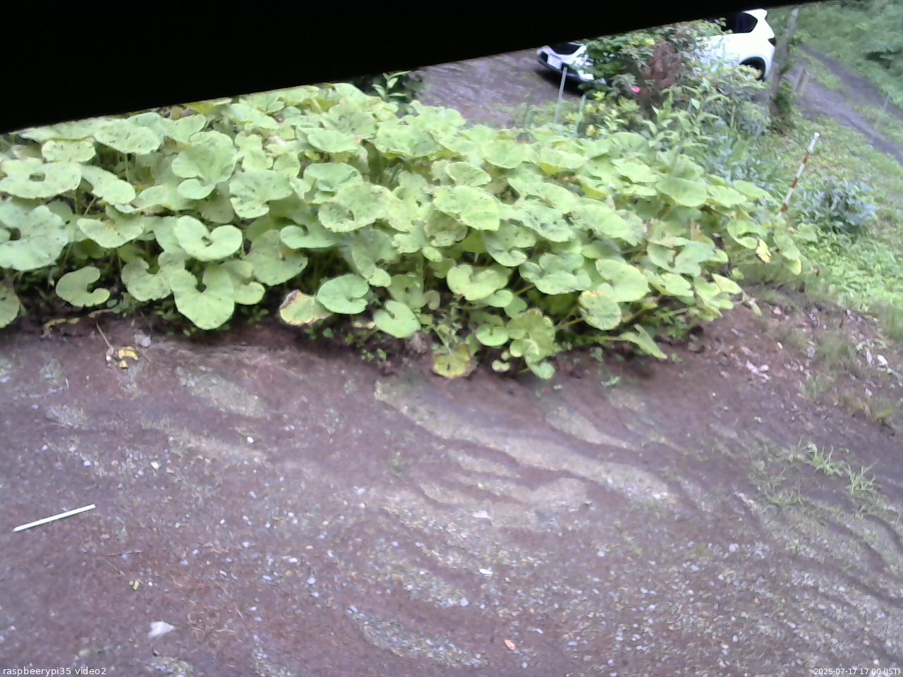 長野県菅平高原 ゆたか山荘 駐車場 2025/07/17 17:00