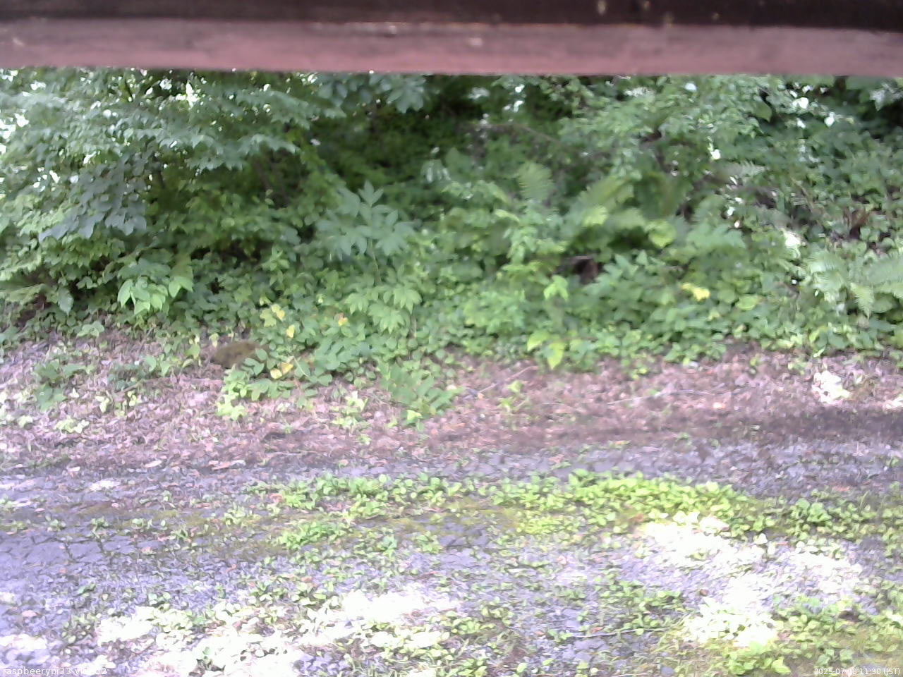 長野県菅平高原 ゆたか山荘 南側 2025/07/18 11:30