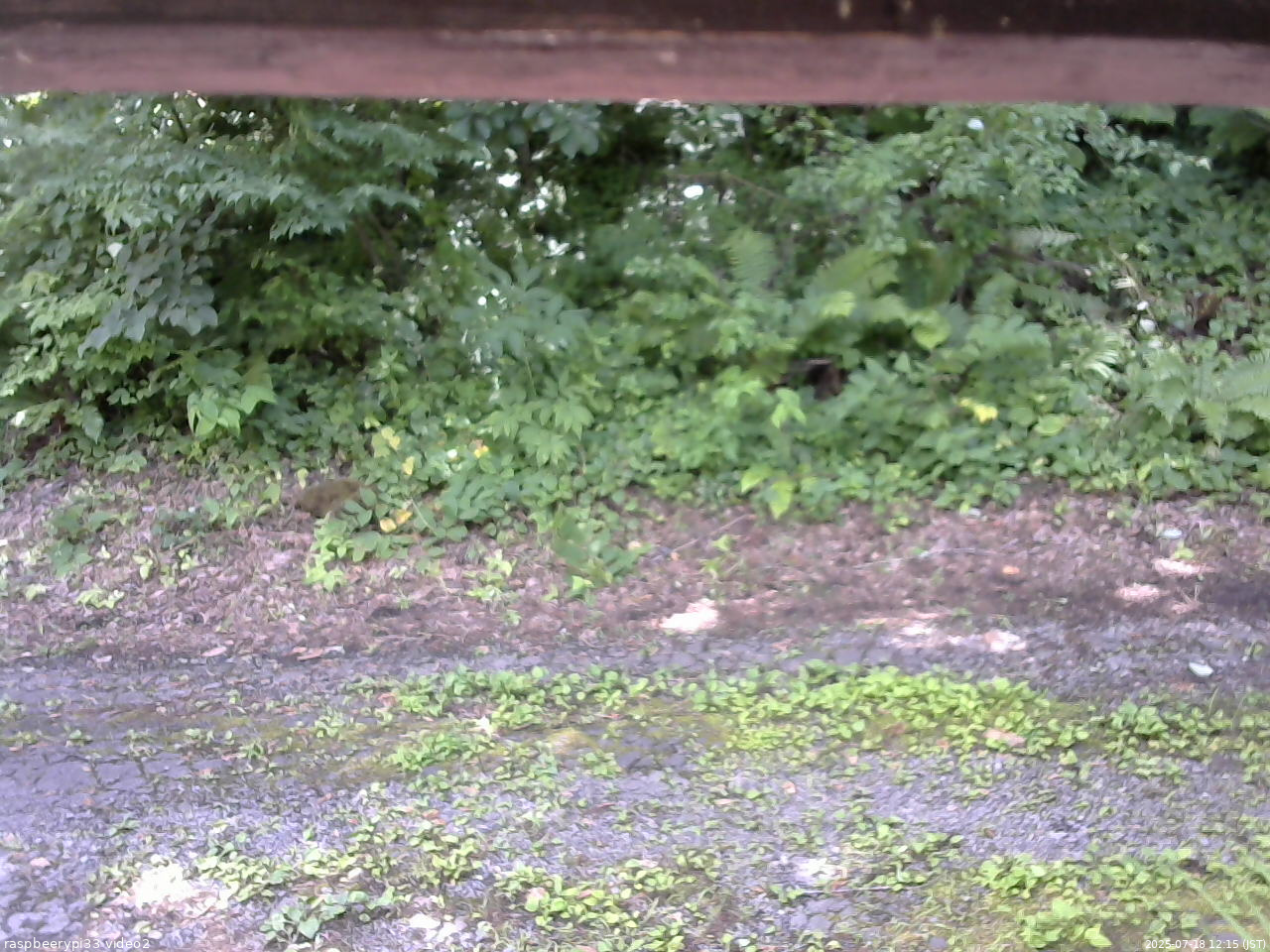 長野県菅平高原 ゆたか山荘 南側 2025/07/18 12:15