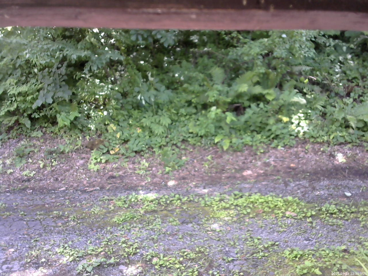 長野県菅平高原 ゆたか山荘 南側 2025/07/18 12:30