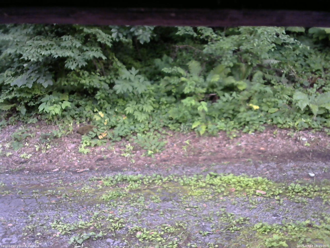 長野県菅平高原 ゆたか山荘 南側 2025/07/18 18:15