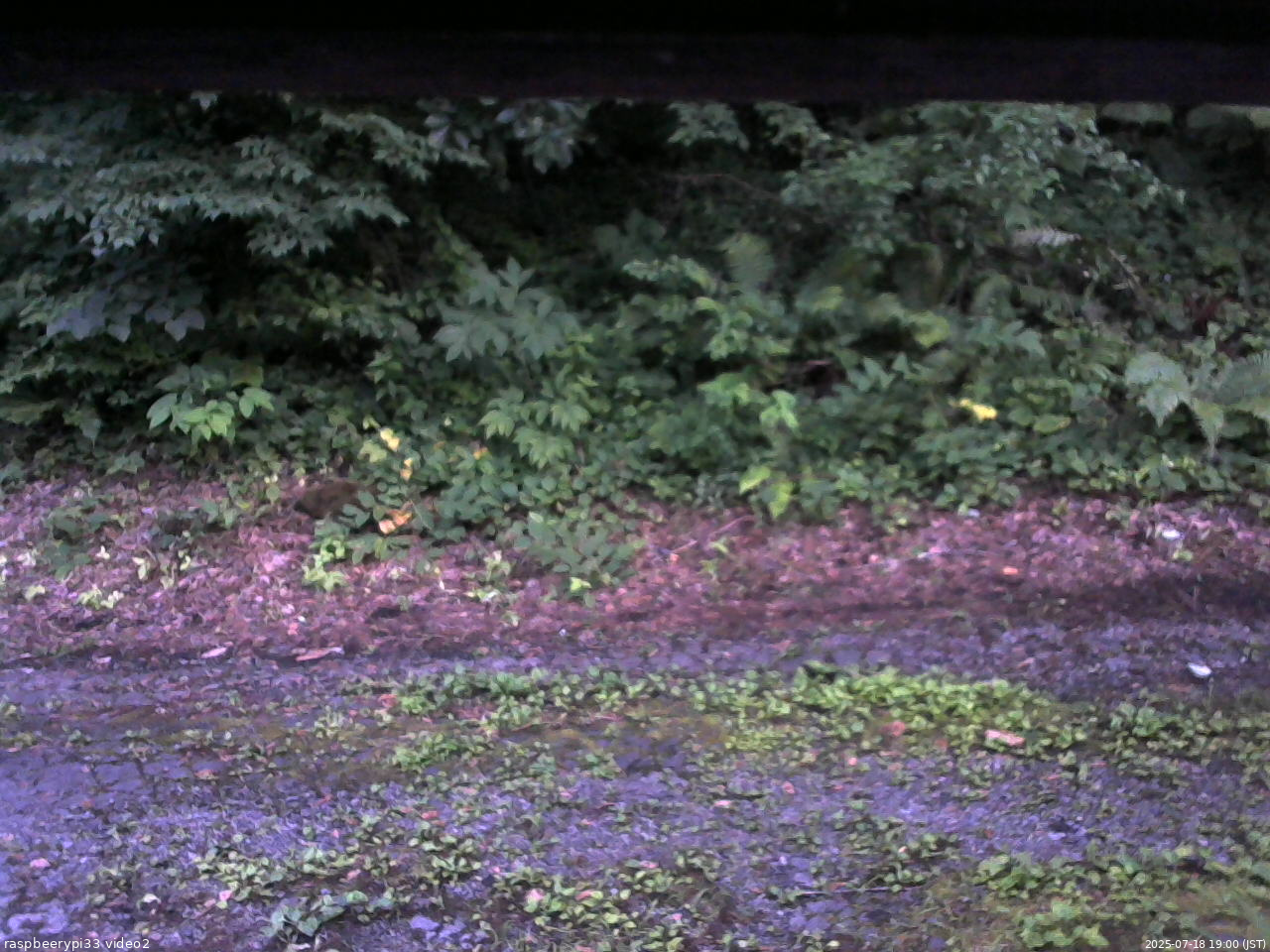 長野県菅平高原 ゆたか山荘 南側 2025/07/18 19:00