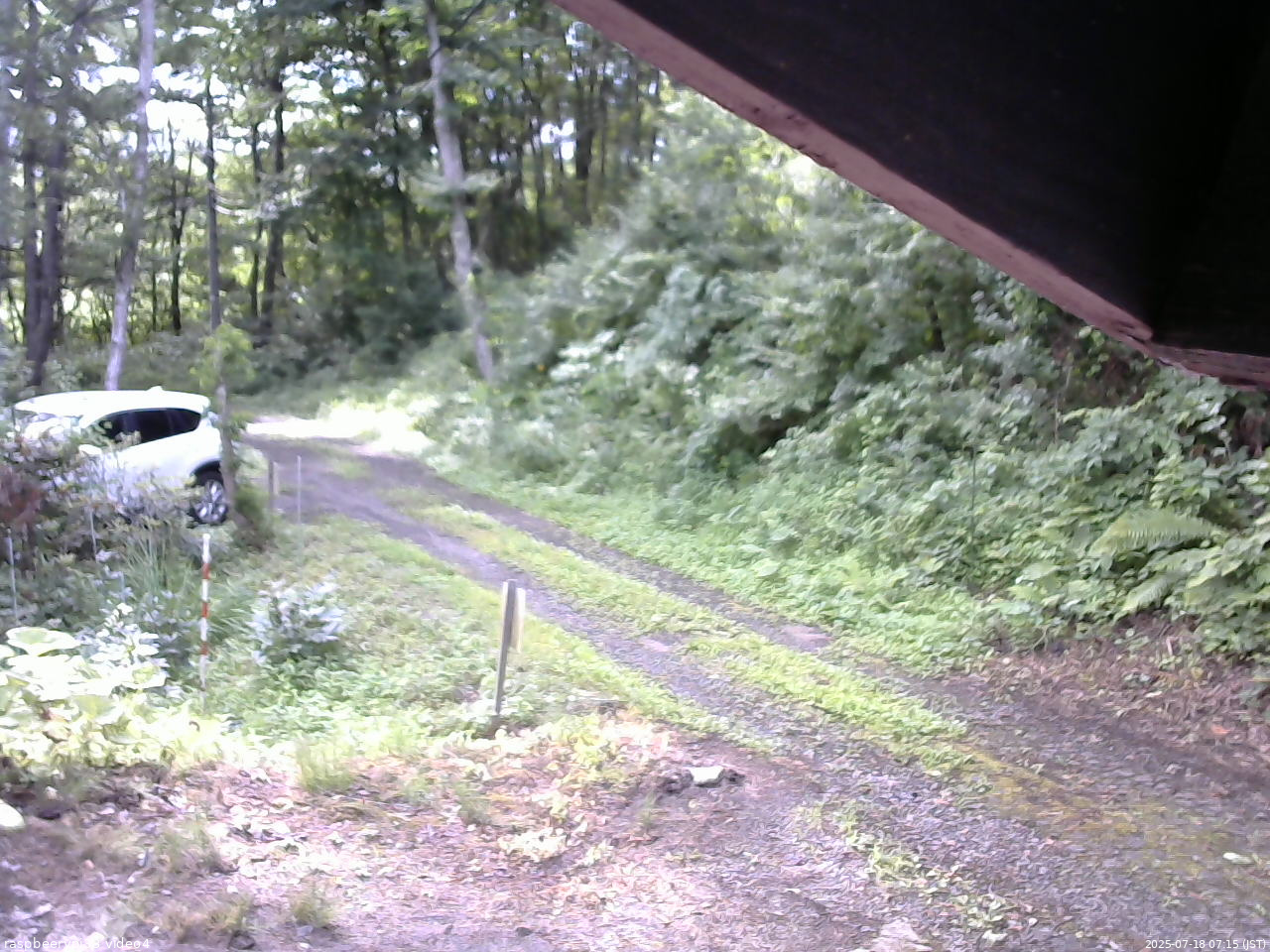 長野県菅平高原 ゆたか山荘 東側(坂下) 2025/07/18 07:15