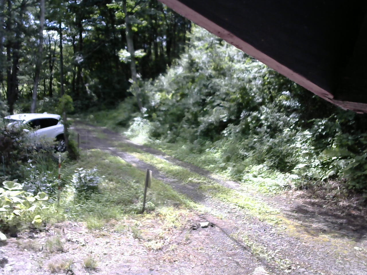 長野県菅平高原 ゆたか山荘 東側(坂下) 2025/07/18 08:30