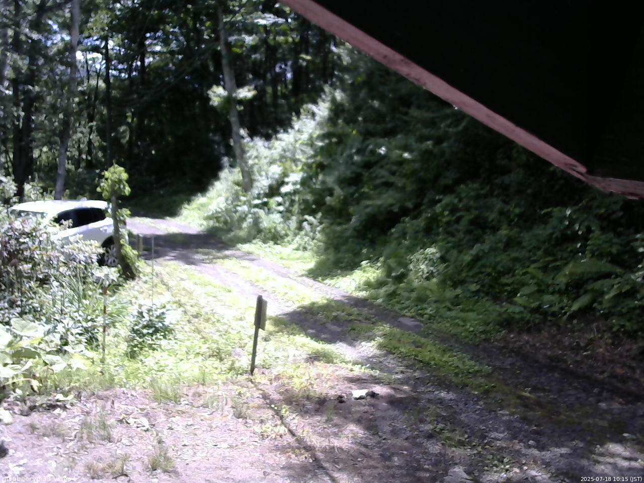 長野県菅平高原 ゆたか山荘 東側(坂下) 2025/07/18 10:15