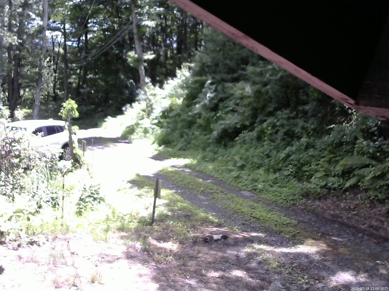 長野県菅平高原 ゆたか山荘 東側(坂下) 2025/07/18 11:00