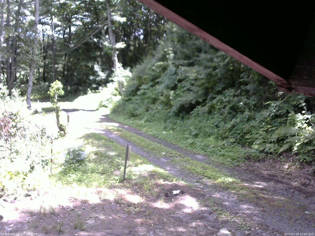 長野県菅平高原 ゆたか山荘 東側(坂下) 2025/07/18 12:00
