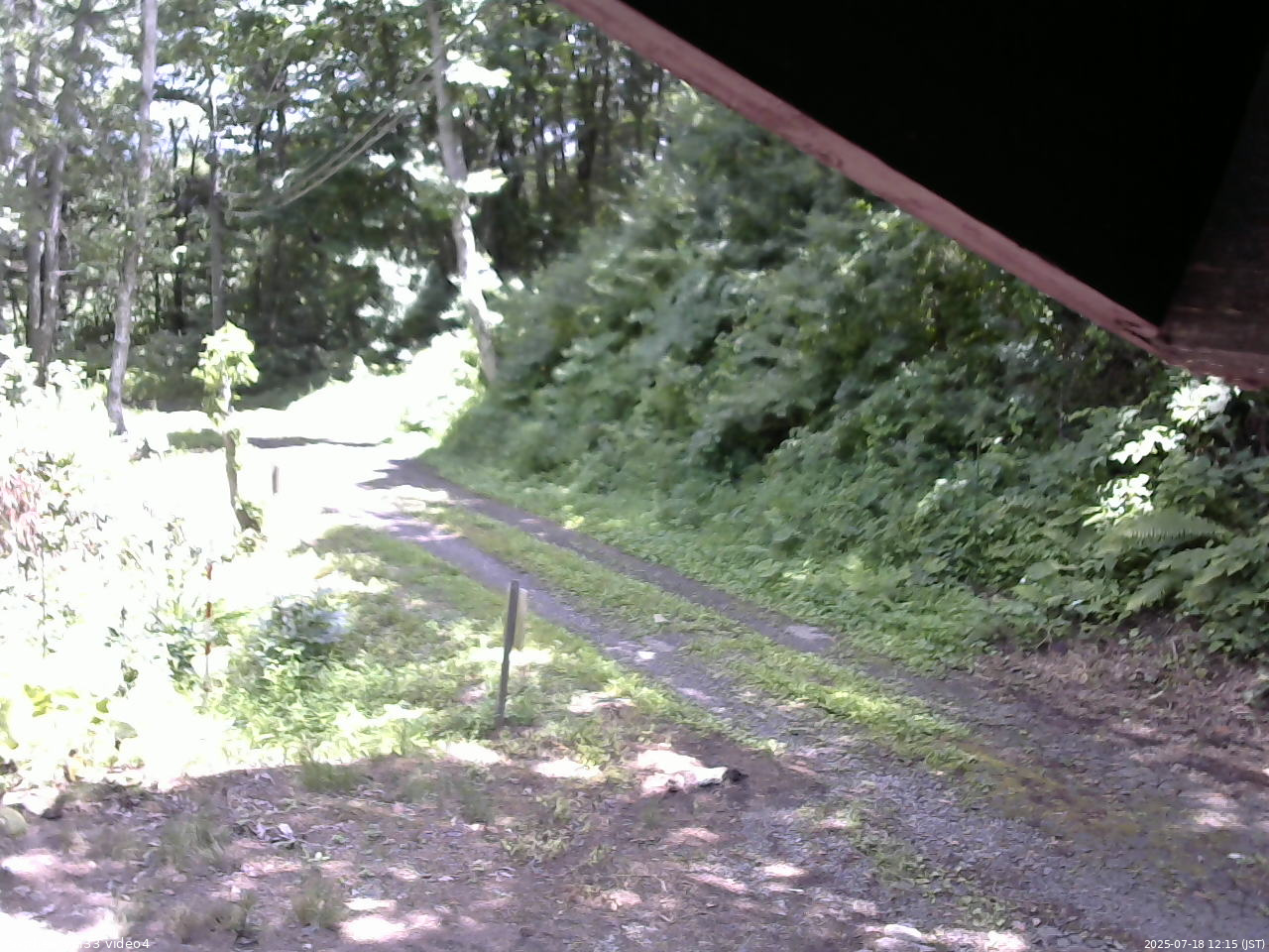 長野県菅平高原 ゆたか山荘 東側(坂下) 2025/07/18 12:15