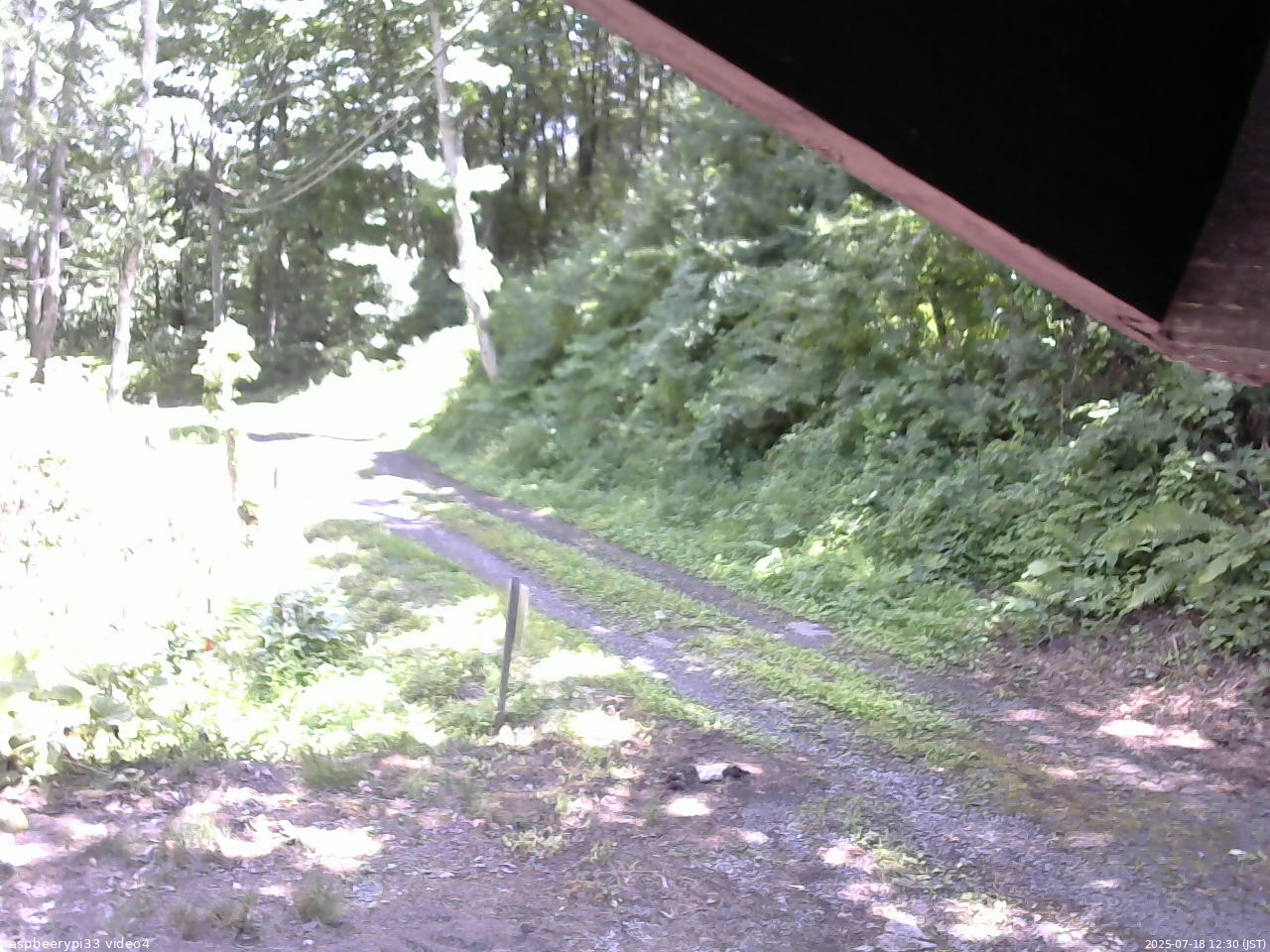 長野県菅平高原 ゆたか山荘 東側(坂下) 2025/07/18 12:30