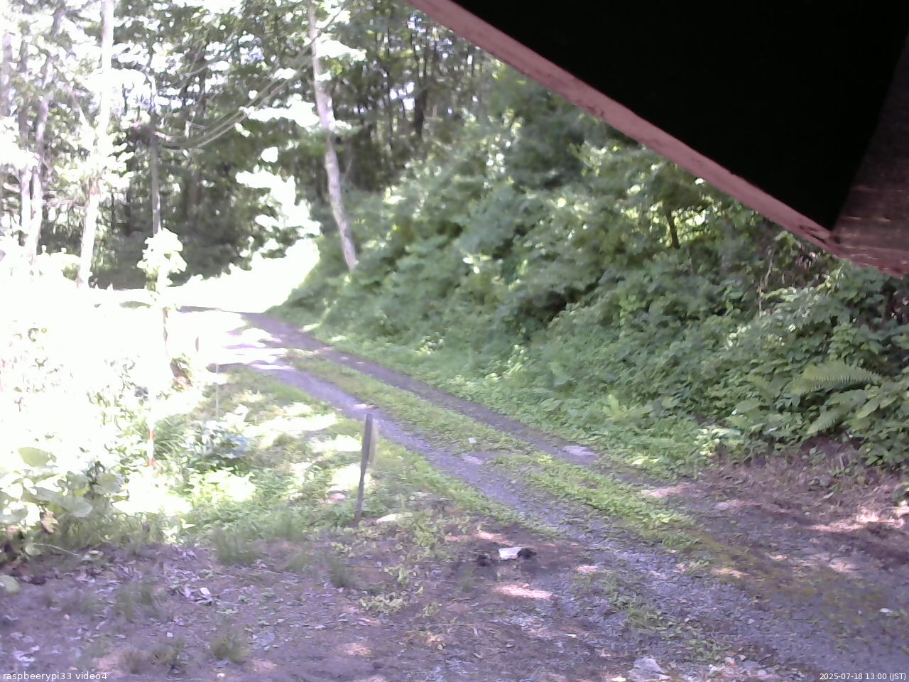 長野県菅平高原 ゆたか山荘 東側(坂下) 2025/07/18 13:00