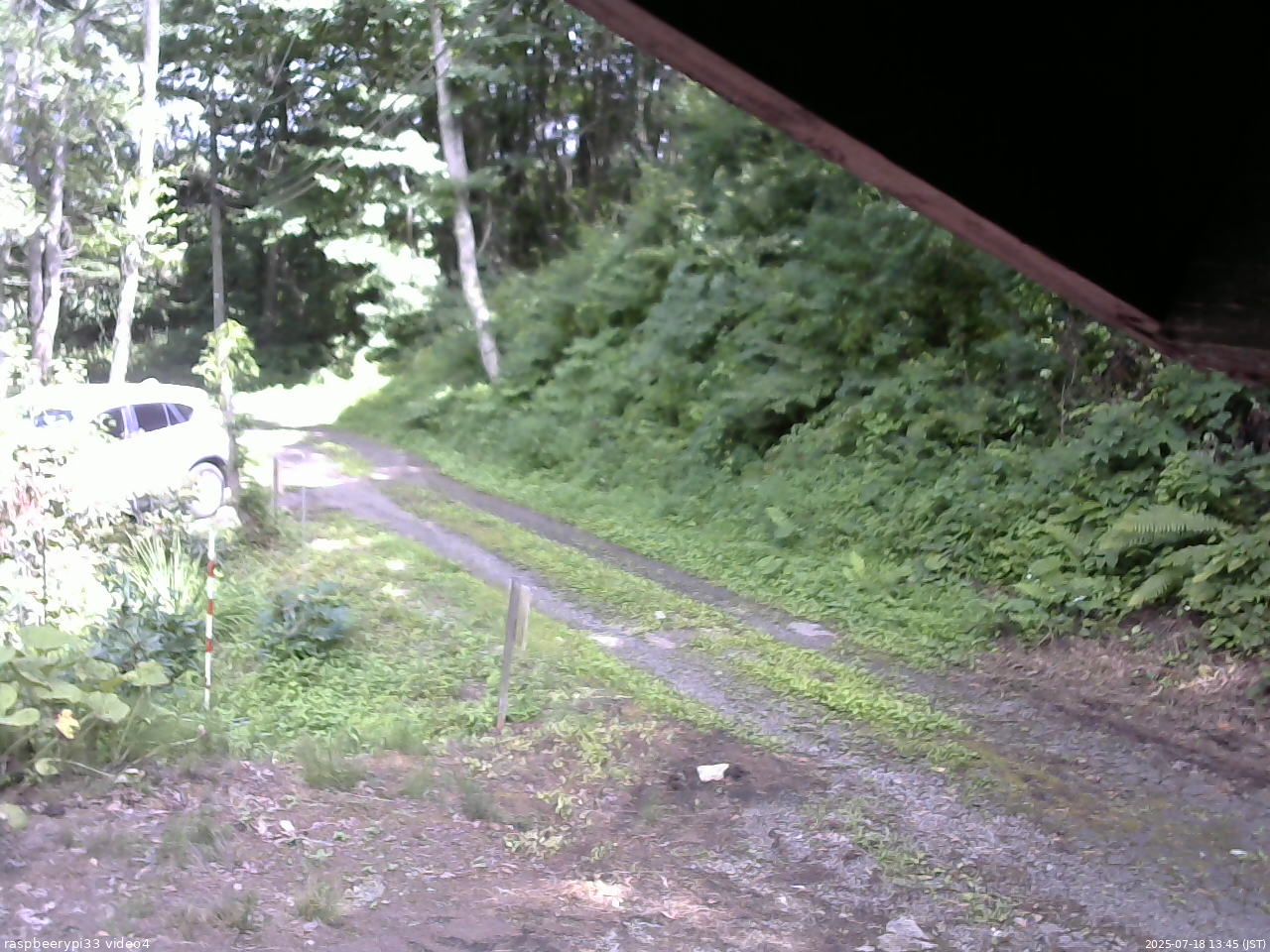 長野県菅平高原 ゆたか山荘 東側(坂下) 2025/07/18 13:45