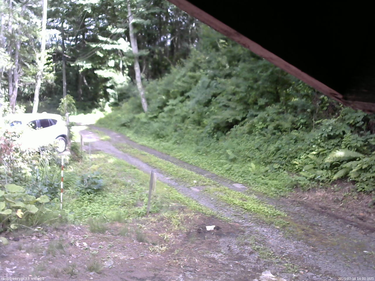 長野県菅平高原 ゆたか山荘 東側(坂下) 2025/07/18 14:00