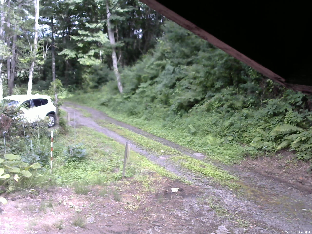 長野県菅平高原 ゆたか山荘 東側(坂下) 2025/07/18 14:45