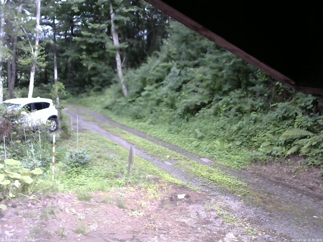長野県菅平高原 ゆたか山荘 東側(坂下) 2025/07/18 15:30