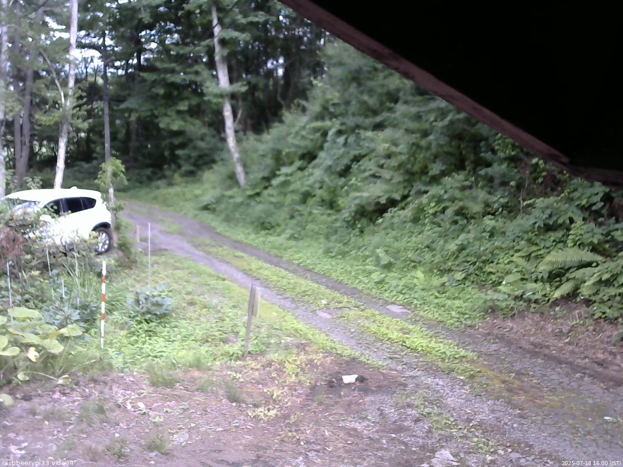長野県菅平高原 ゆたか山荘 東側(坂下) 2025/07/18 16:00