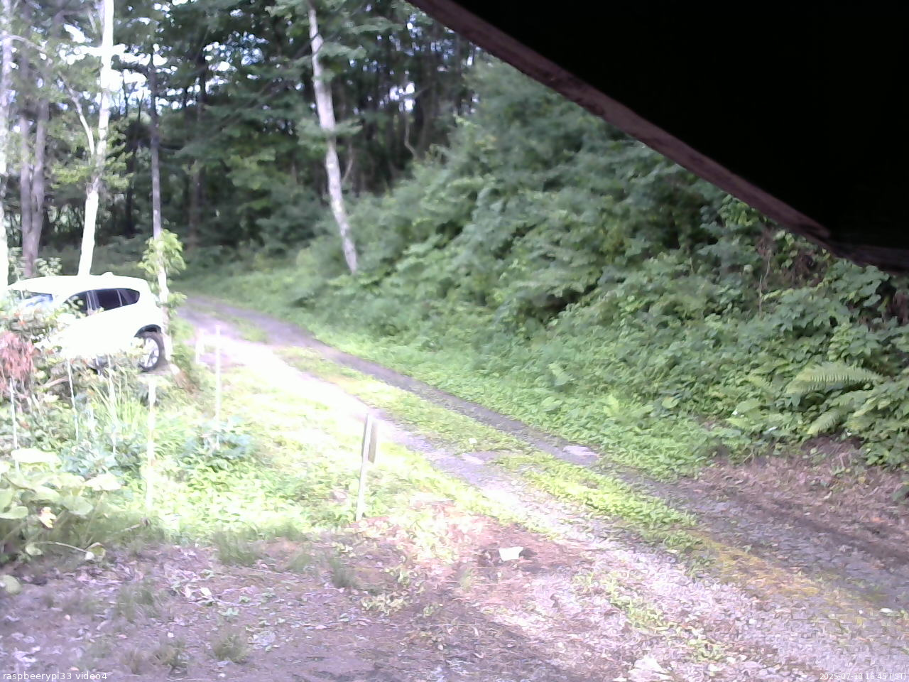 長野県菅平高原 ゆたか山荘 東側(坂下) 2025/07/18 16:45