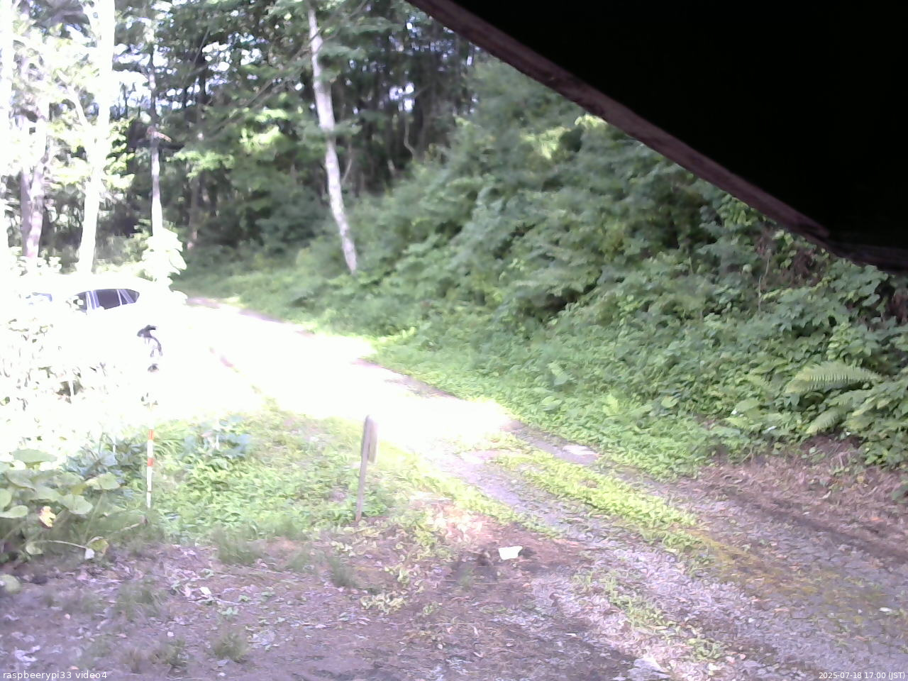 長野県菅平高原 ゆたか山荘 東側(坂下) 2025/07/18 17:00