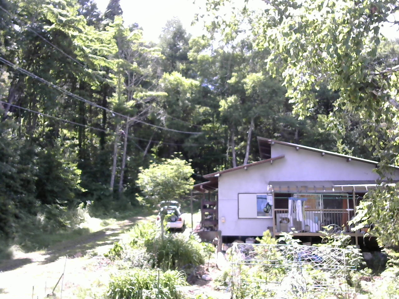 長野県菅平高原 ゆたか山荘 西側(坂上) 2025/07/18 13:30