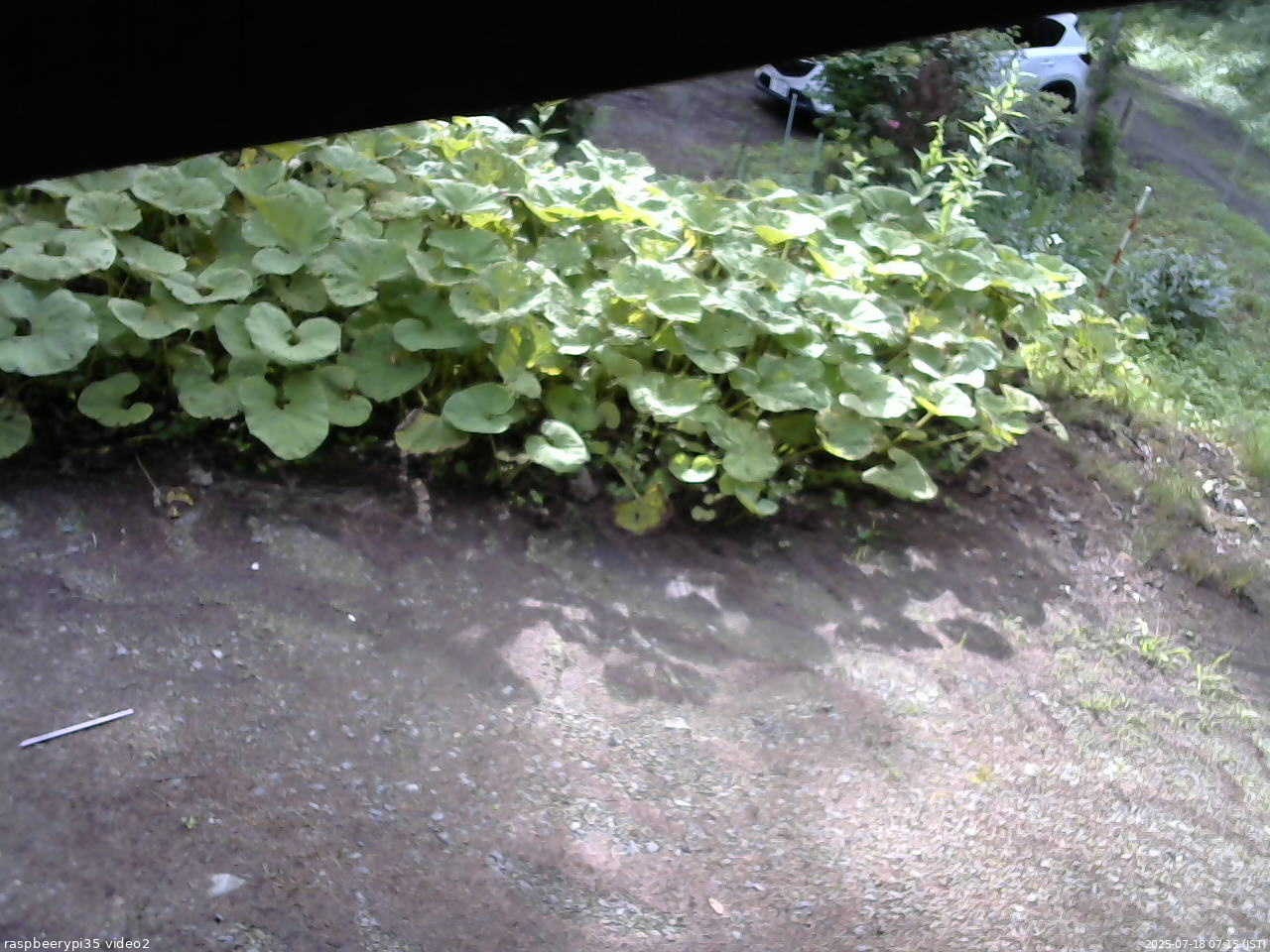 長野県菅平高原 ゆたか山荘 駐車場 2025/07/18 07:15