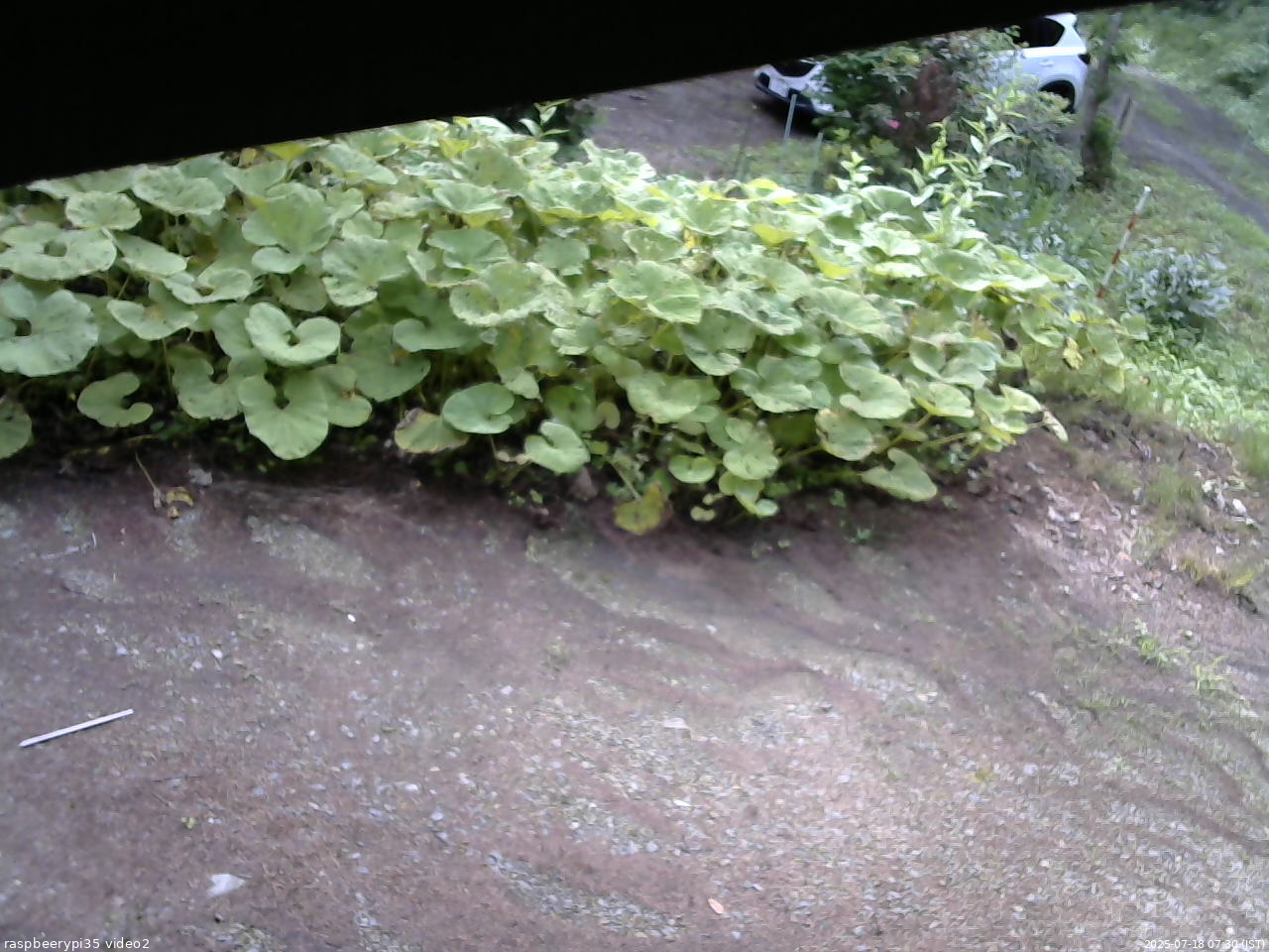 長野県菅平高原 ゆたか山荘 駐車場 2025/07/18 07:30
