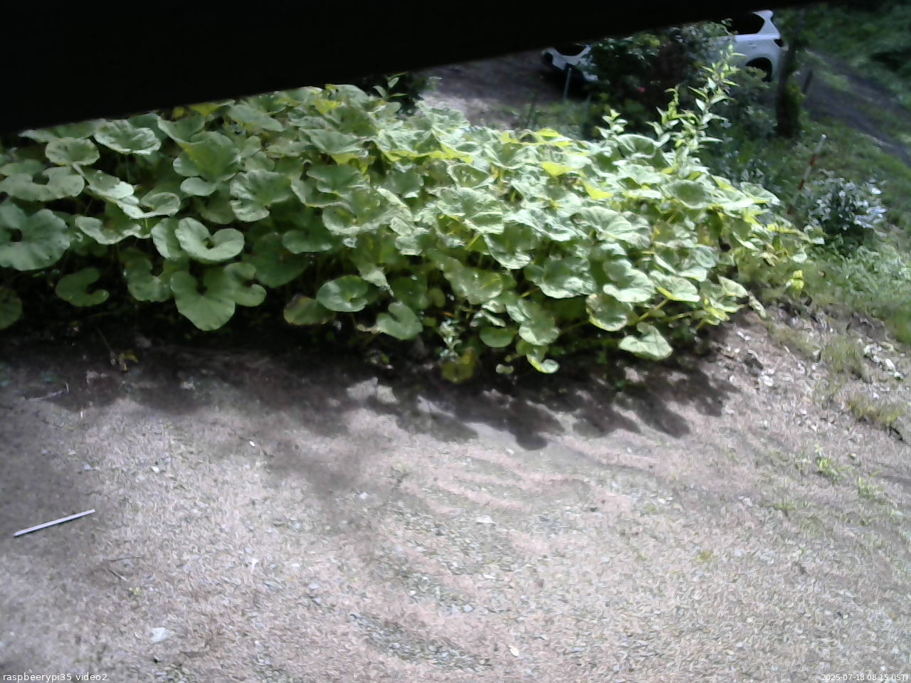 長野県菅平高原 ゆたか山荘 駐車場 2025/07/18 08:15
