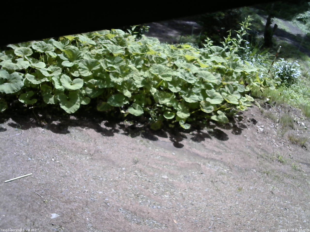 長野県菅平高原 ゆたか山荘 駐車場 2025/07/18 09:15