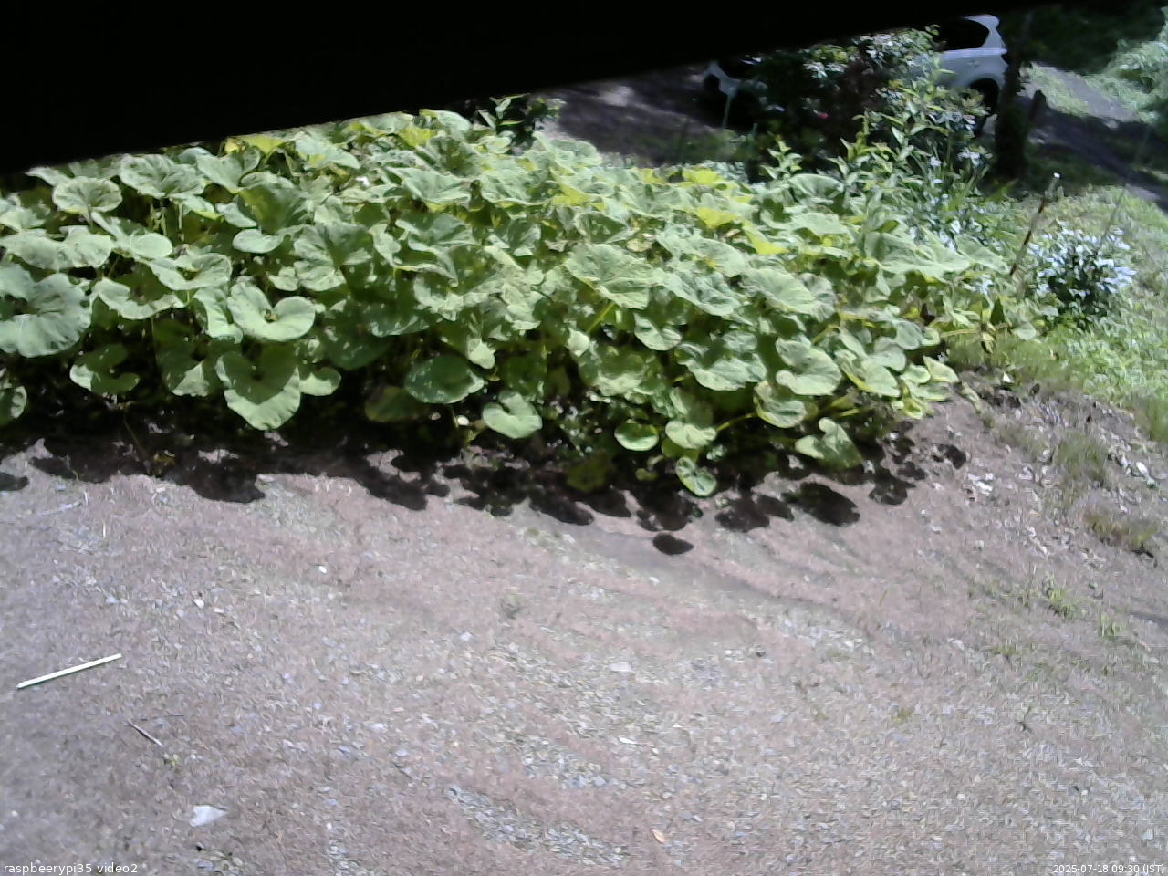 長野県菅平高原 ゆたか山荘 駐車場 2025/07/18 09:30