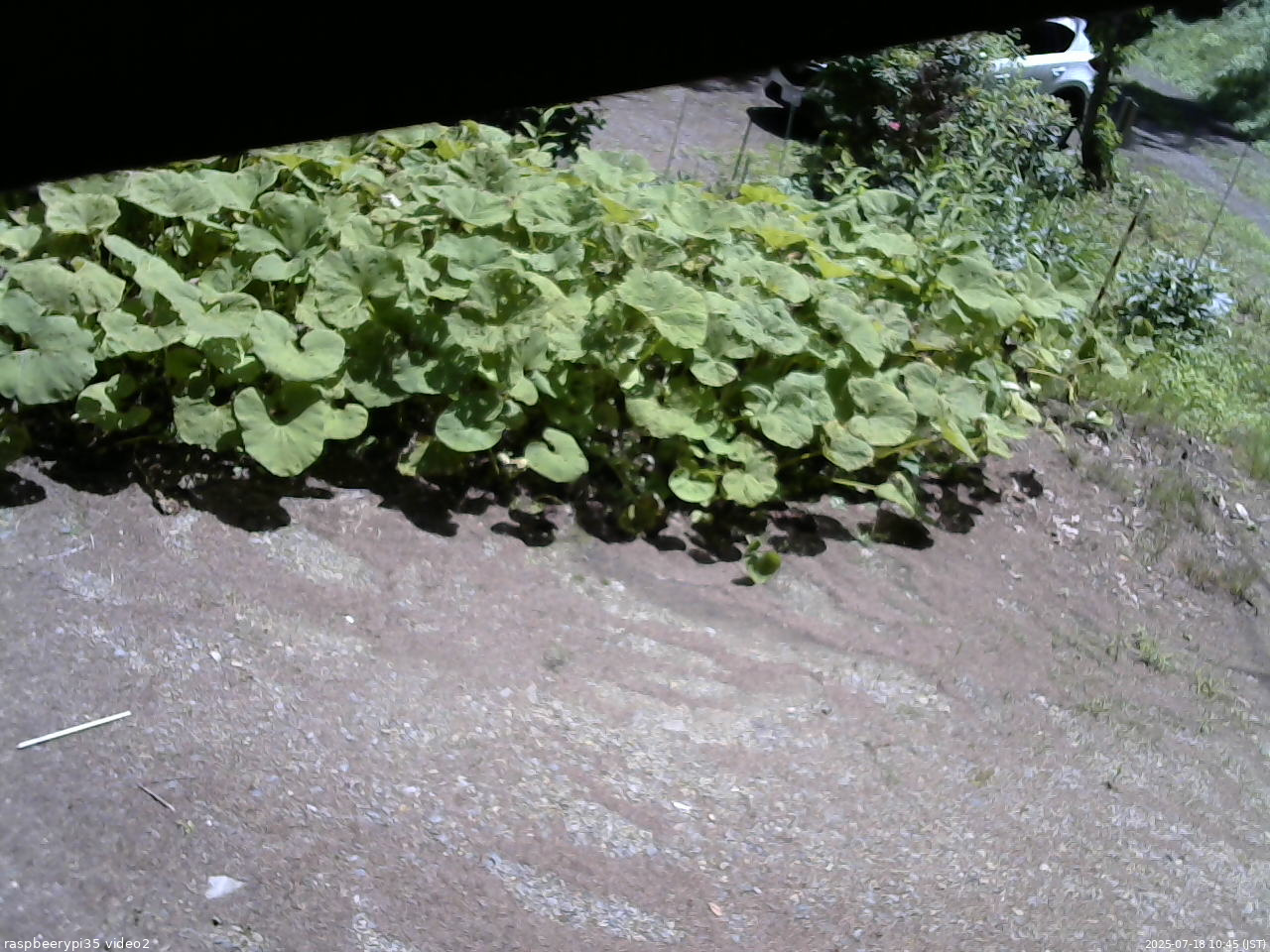 長野県菅平高原 ゆたか山荘 駐車場 2025/07/18 10:45