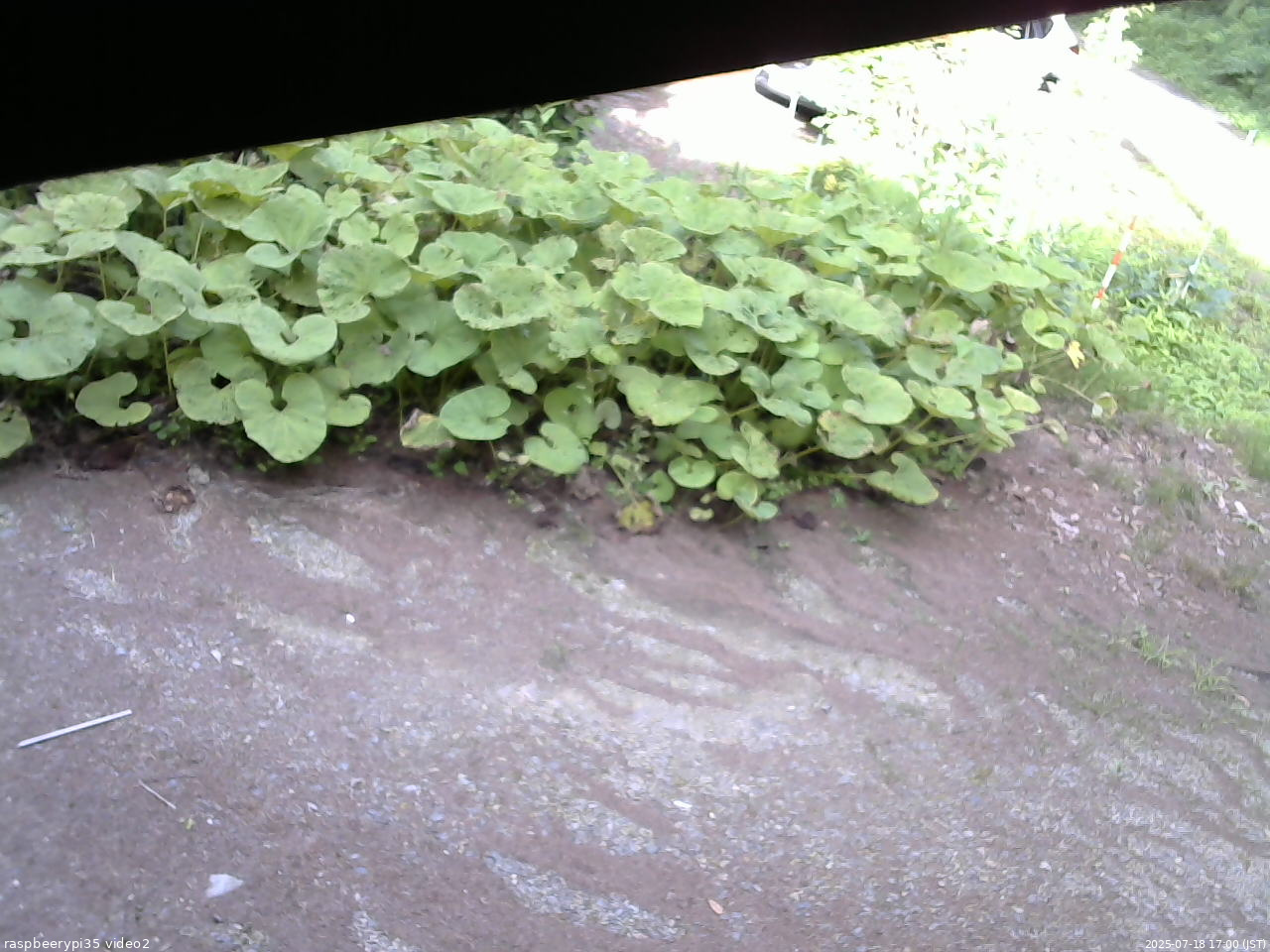 長野県菅平高原 ゆたか山荘 駐車場 2025/07/18 17:00