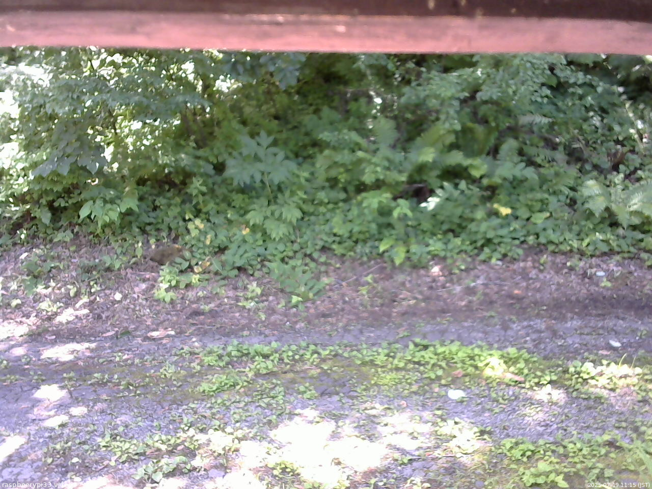 長野県菅平高原 ゆたか山荘 南側 2025/07/19 11:15