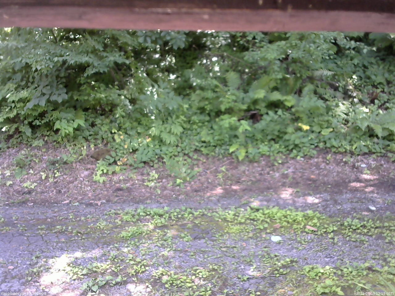 長野県菅平高原 ゆたか山荘 南側 2025/07/19 12:15