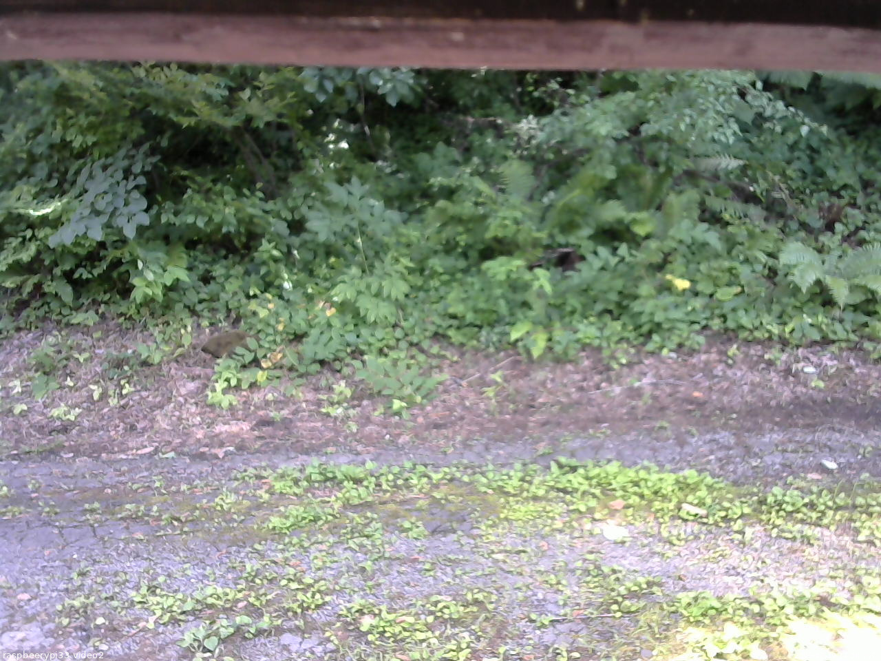 長野県菅平高原 ゆたか山荘 南側 2025/07/19 14:00