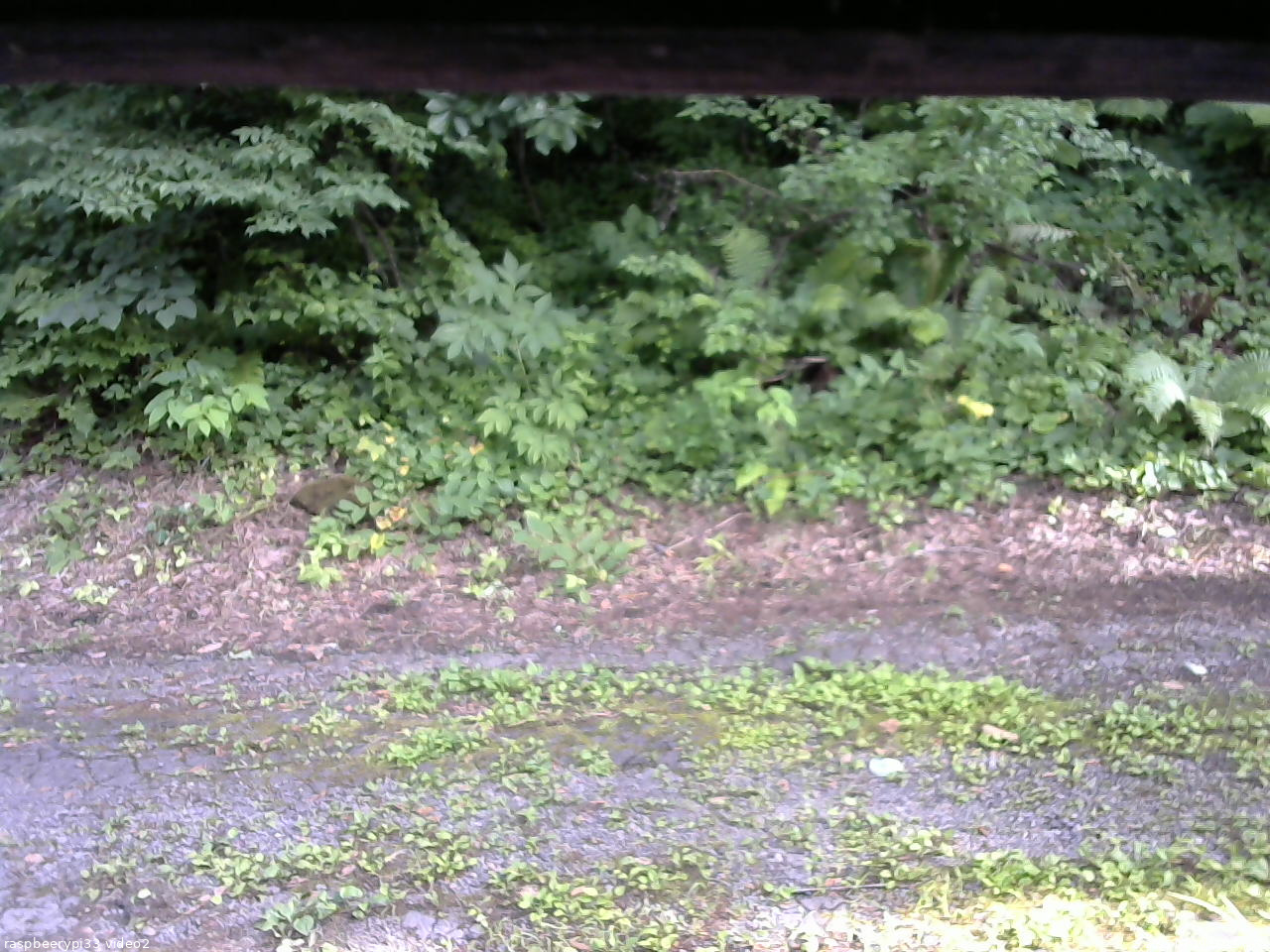 長野県菅平高原 ゆたか山荘 南側 2025/07/19 16:15