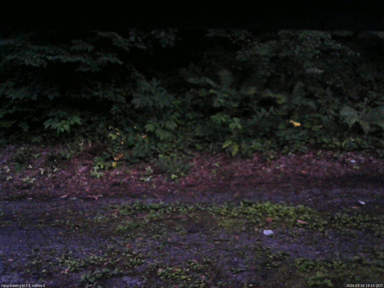 長野県菅平高原 ゆたか山荘 南側 2025/07/19 19:15