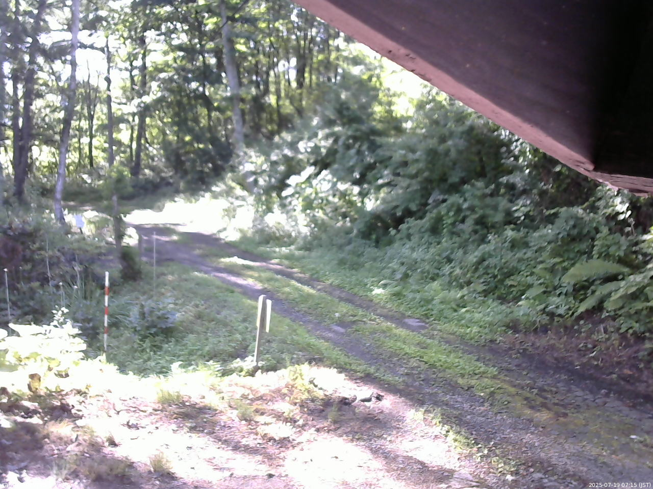 長野県菅平高原 ゆたか山荘 東側(坂下) 2025/07/19 07:15