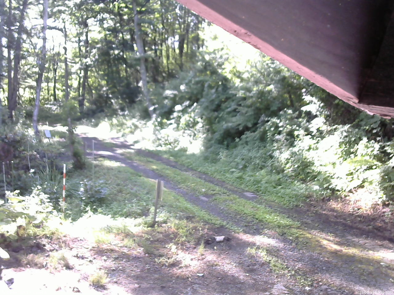 長野県菅平高原 ゆたか山荘 東側(坂下) 2025/07/19 07:30