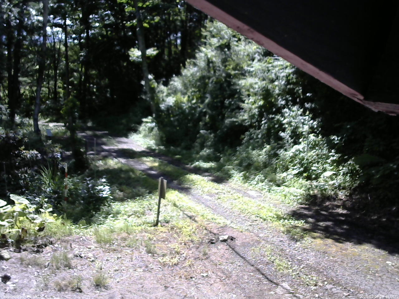 長野県菅平高原 ゆたか山荘 東側(坂下) 2025/07/19 08:45