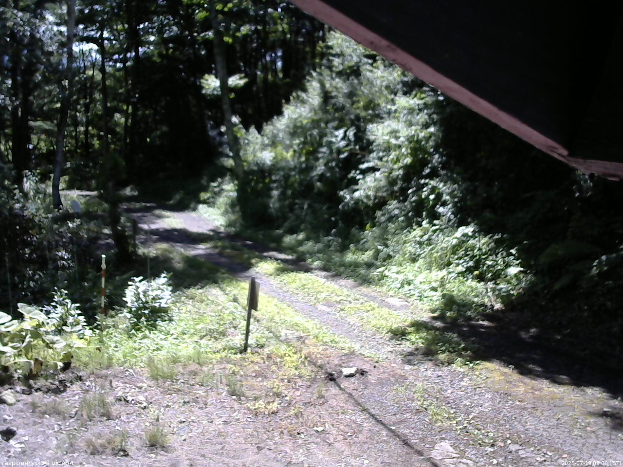 長野県菅平高原 ゆたか山荘 東側(坂下) 2025/07/19 09:00