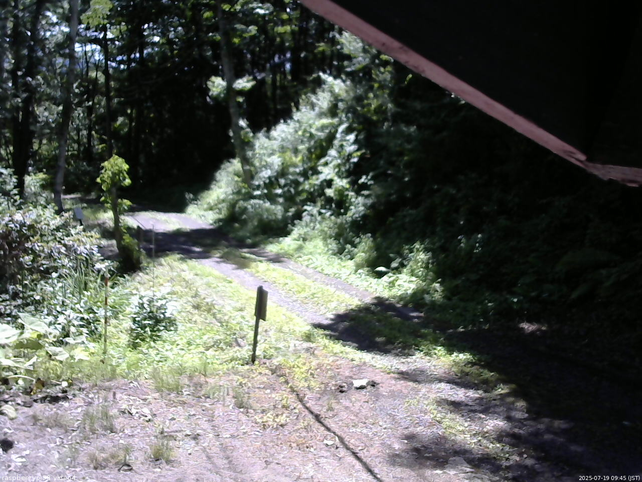 長野県菅平高原 ゆたか山荘 東側(坂下) 2025/07/19 09:45