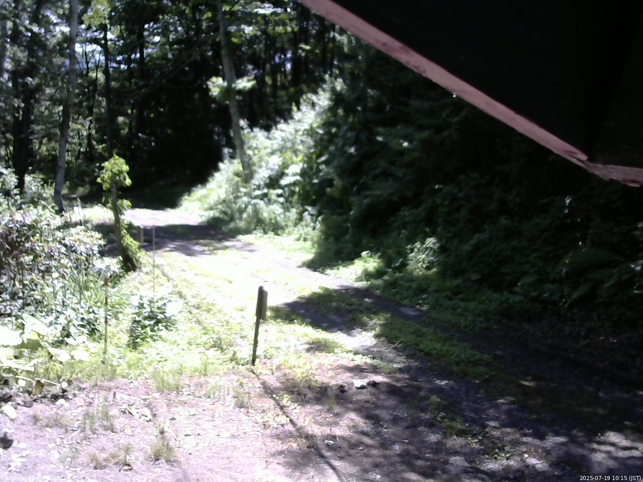 長野県菅平高原 ゆたか山荘 東側(坂下) 2025/07/19 10:15